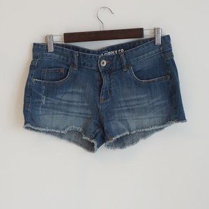 Medium Wash Distressed Cut Off Jean Shorts